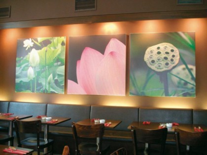 Foto: Lotus 